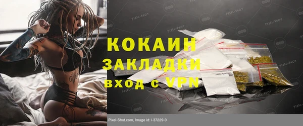 PSILOCYBIN Козловка