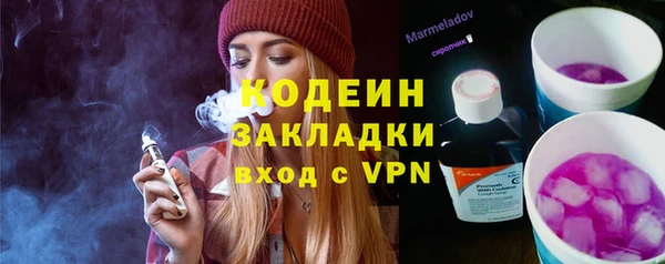PSILOCYBIN Корсаков