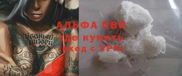 PSILOCYBIN Козловка