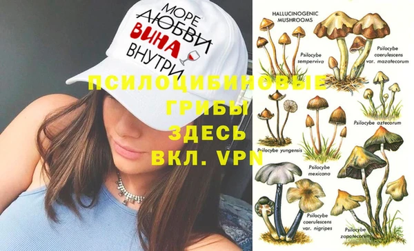 PSILOCYBIN Корсаков