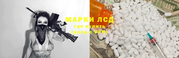 PSILOCYBIN Козловка