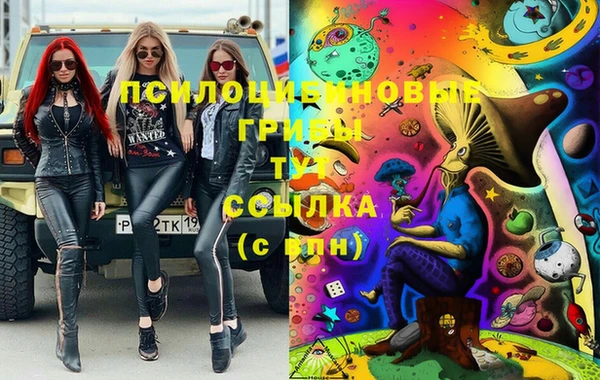 PSILOCYBIN Козловка