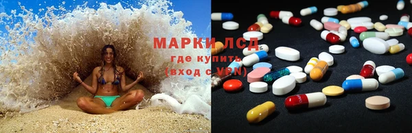 PSILOCYBIN Козловка