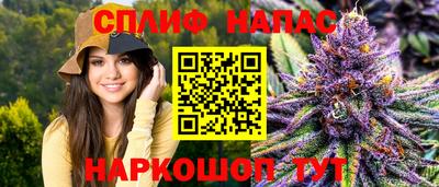 соль ск Новодвинск