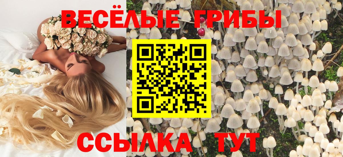 Армавир  Псилоцибиновые грибы Psilocybine cubensis  цена   Вход с VPN 